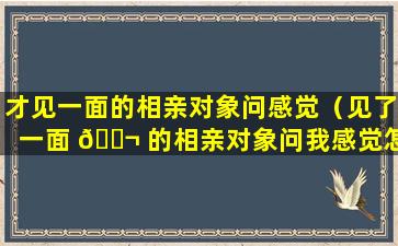 才见一面的相亲对象问感觉（见了一面 🐬 的相亲对象问我感觉怎么样 🌿 ）